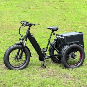 20-Inch 26inch Fat Tire 7-Speed Multipurpose Electric Pedicab 3 Wheel Cargo Bike For City Use For Cargo And Pet Transportation