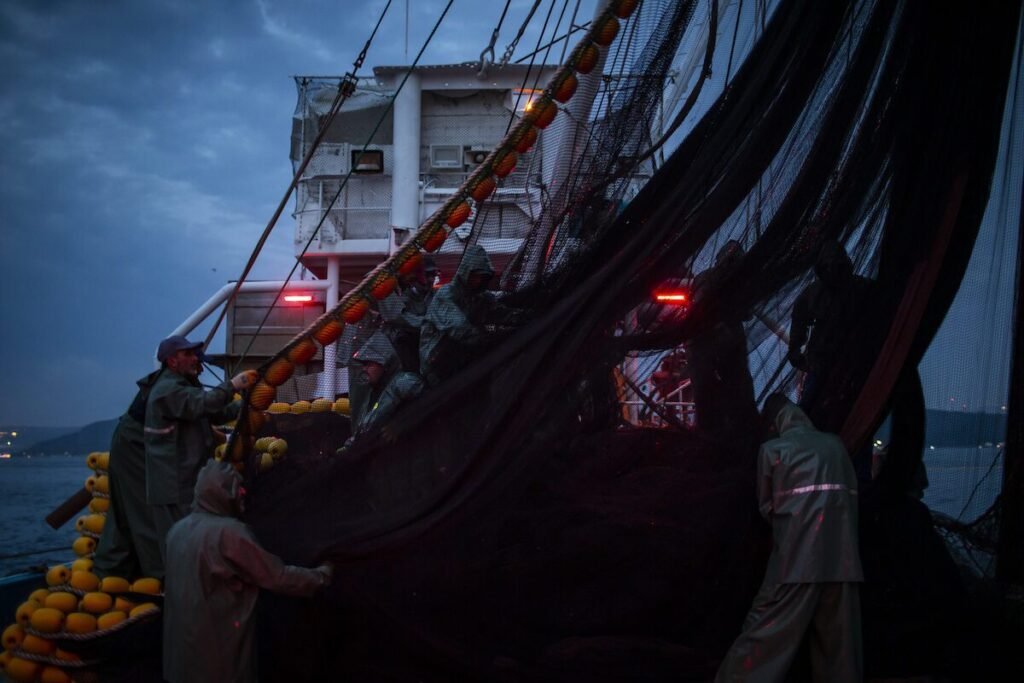 Mediterranean, Black Sea overfishing hits 10-year low: UN report