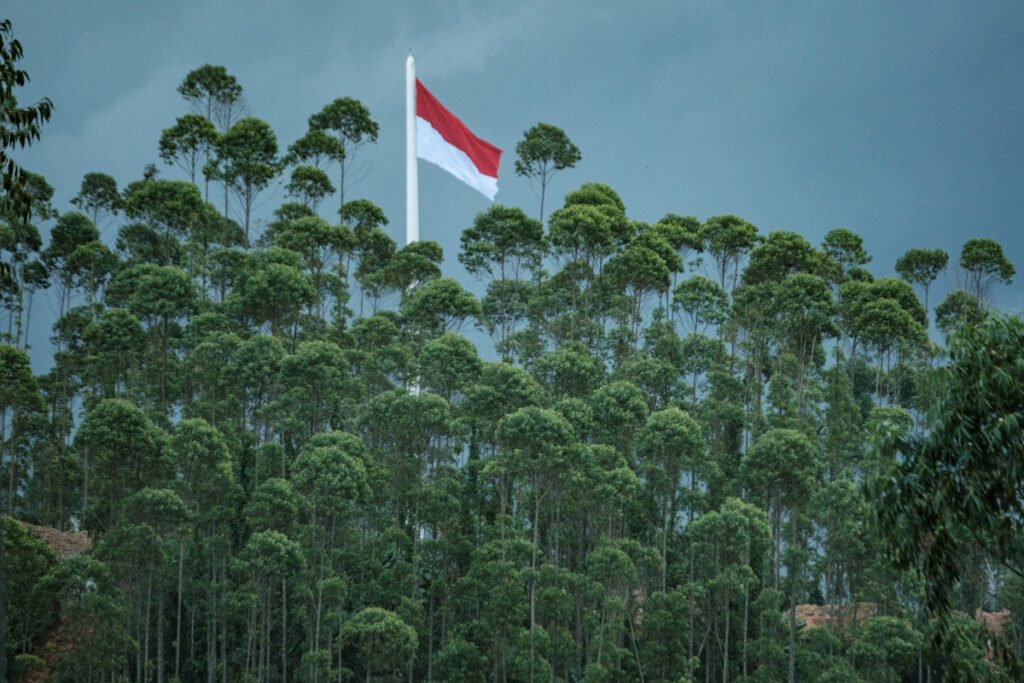Indonesia needs not only GCC investors, but also bankable green projects