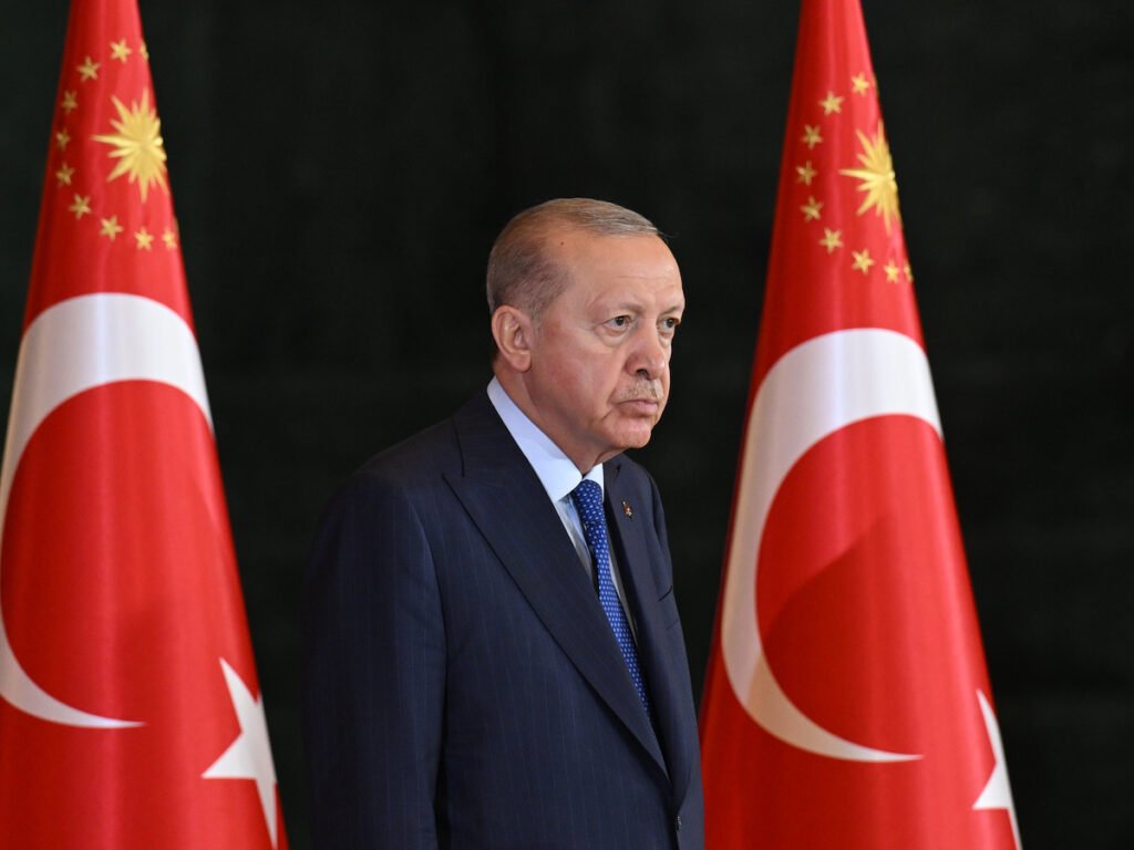 Turkiye mobilised all resources after passenger ship capsize off Northern Cyprus: President Erdogan