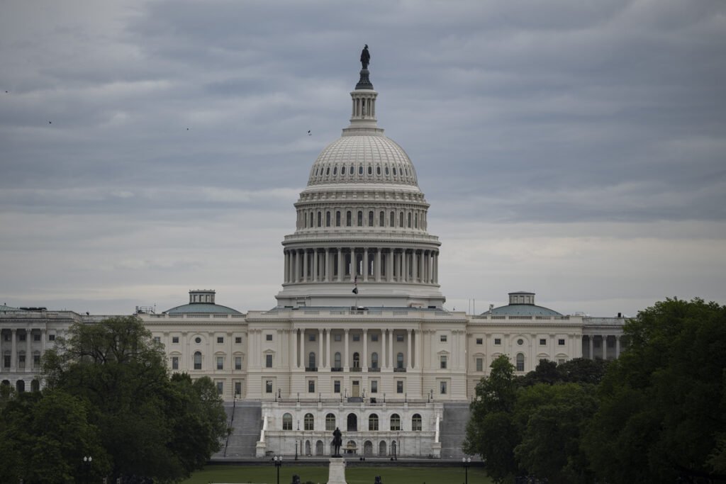 The US Primaries: What they reveal about November