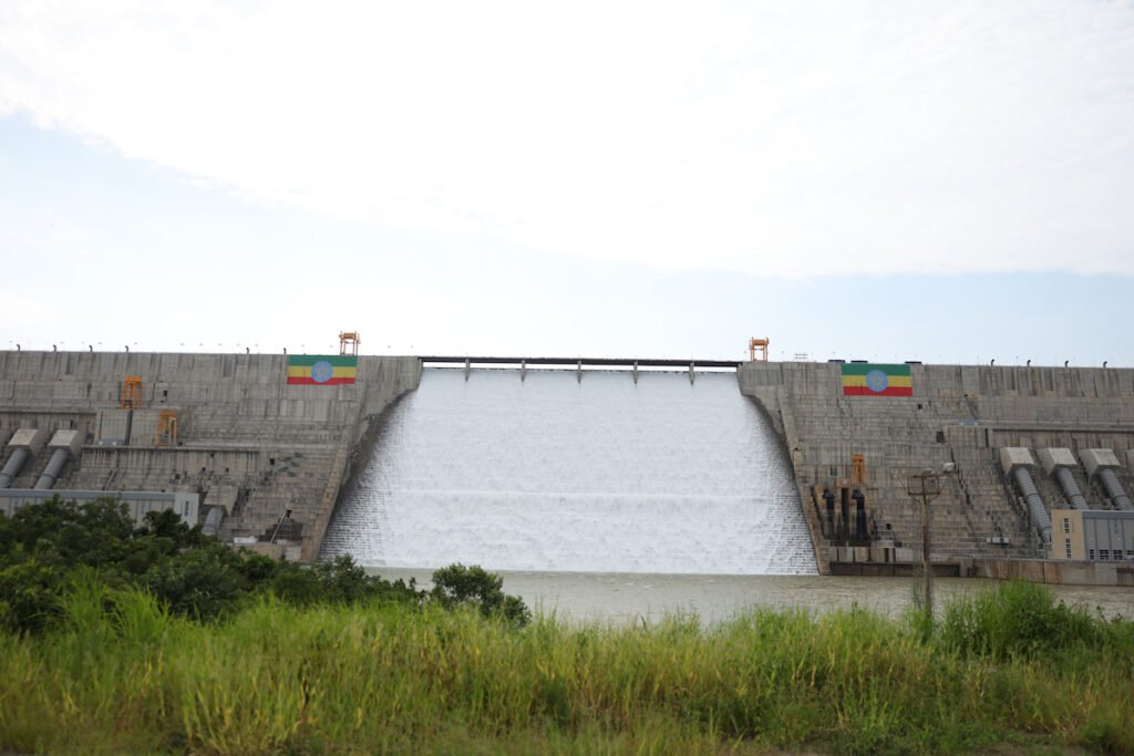 Egyptian president rejects use of Nile water for political gains, urges peaceful solutions to African crises